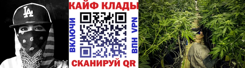 Где купить наркоту Дагестанские Огни APVP  ГАШ  МАРИХУАНА 