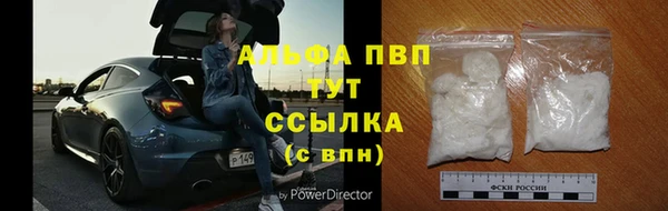 прущие грибы Белоозёрский