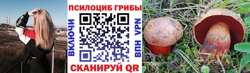 Галлюциногенные грибы Cubensis  наркошоп  Дагестанские Огни 